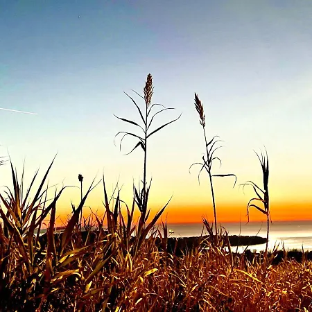Luxury , Nature & Sea *